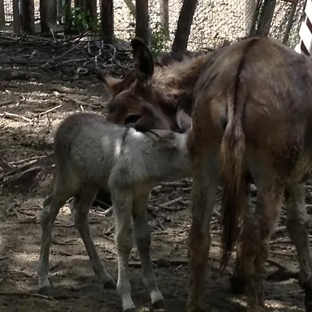 Fattoria Ca Di Gianni