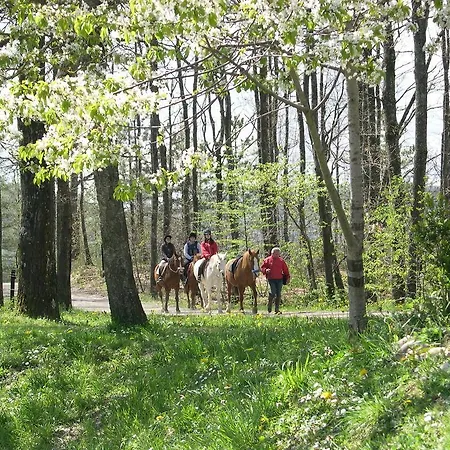 Fattoria Cà Di Gianni Casa di campagna *