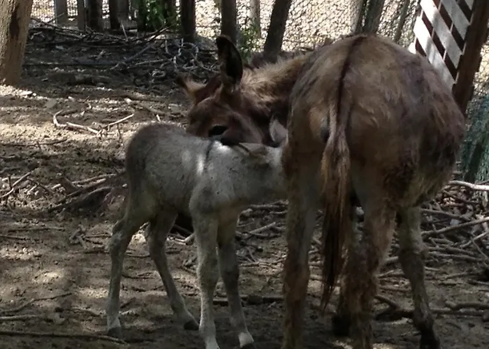 Fattoria Ca Di Gianni