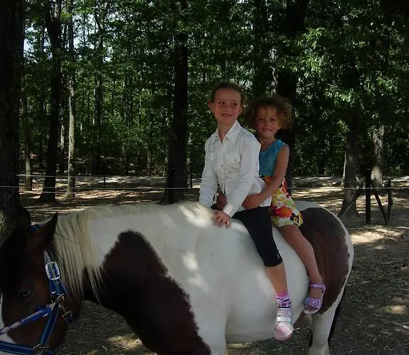 Fattoria Ca Di Gianni *