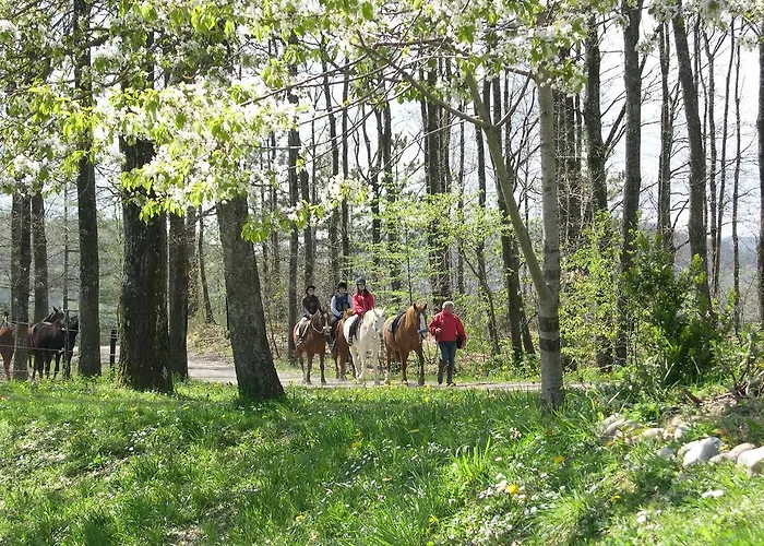 Fattoria Ca Di Gianni Séjour à la campagne *